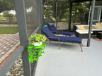Outdoor patio with lounge chair and plant decoration.