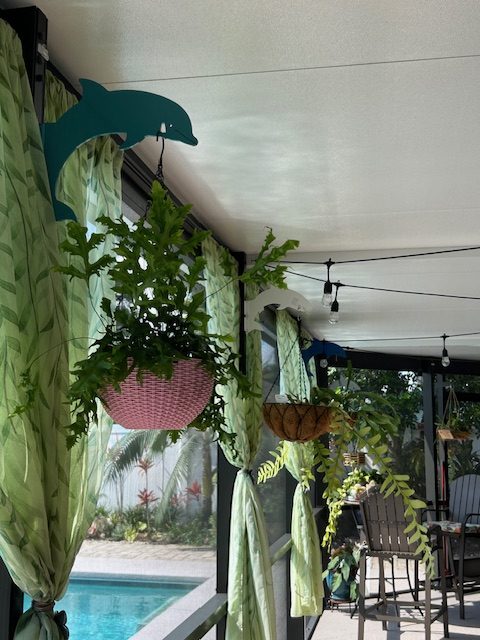 Teal dolphin hanger with ferns on covered porch.