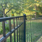Black metal fence in a sunny garden