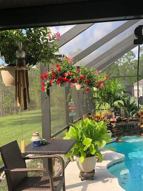 Wind chime and hanging red flowers beside bistro table in lanai.