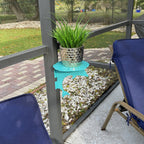 Potted plant on blue side table, screened porch setting.