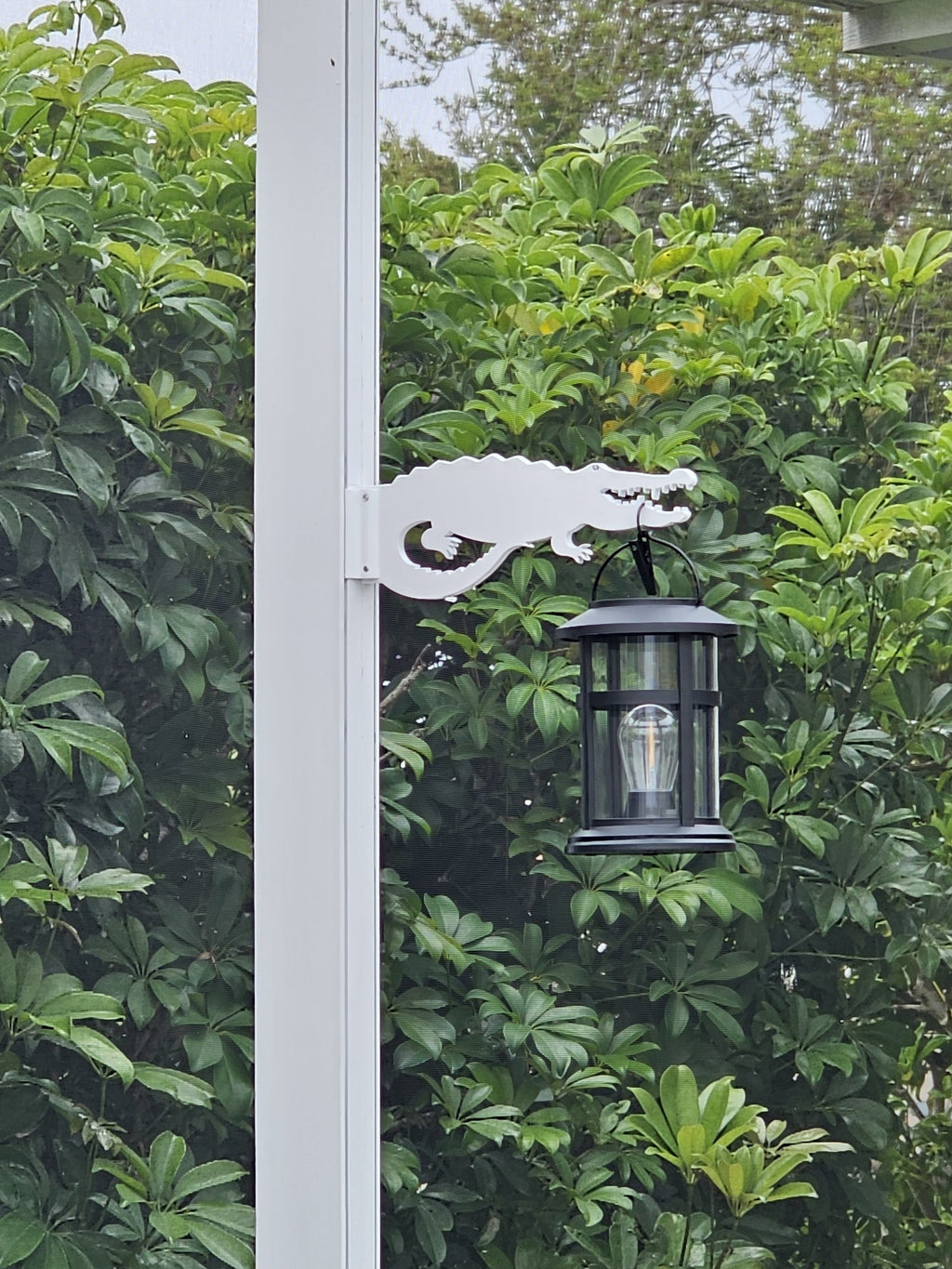 White alligator hanger on a white post holding a black lantern against green leafy shrubs.