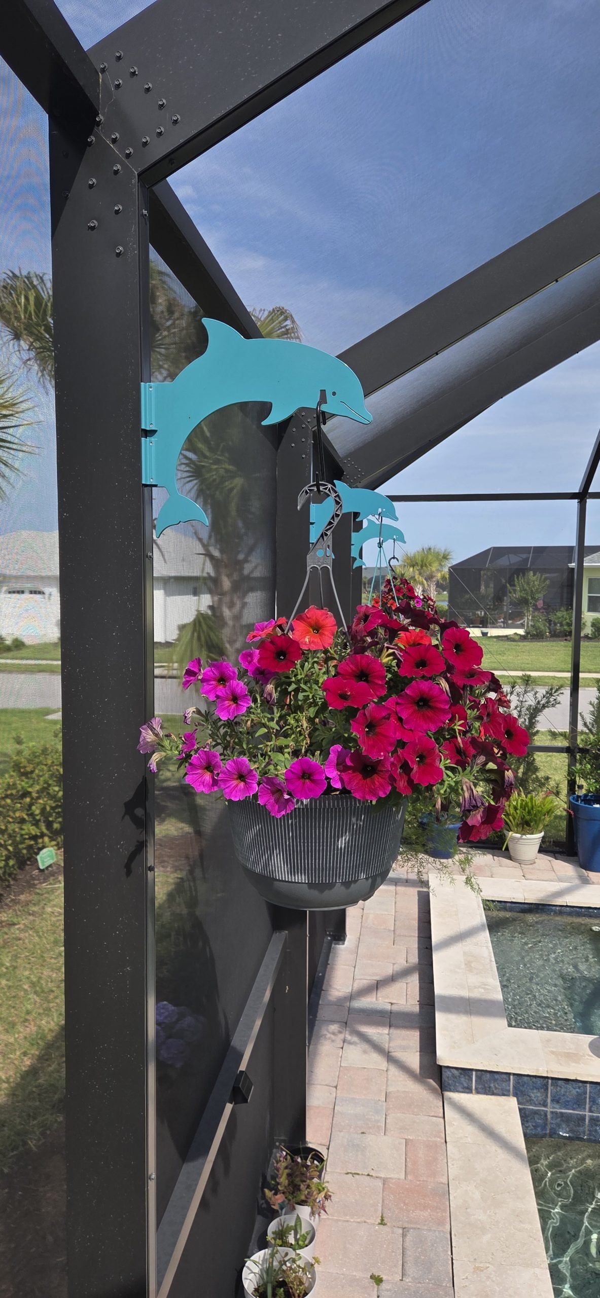 Turquoise dolphin hanger on a dark pool-cage post holding a basket of pink and red flowers.