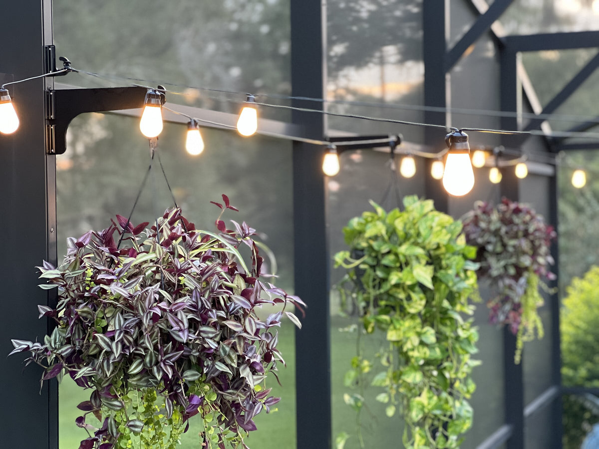 Black clamp-on hangers on dark lanai posts hold plants, with string lights draped along arms.