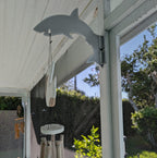 shark