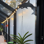 Hanging plant beneath string lights on a patio.