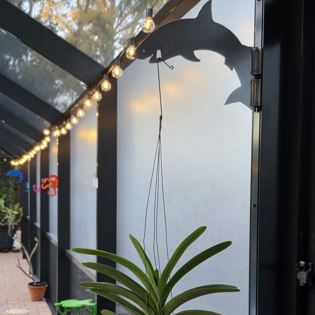 Hanging plant beneath string lights on a patio.