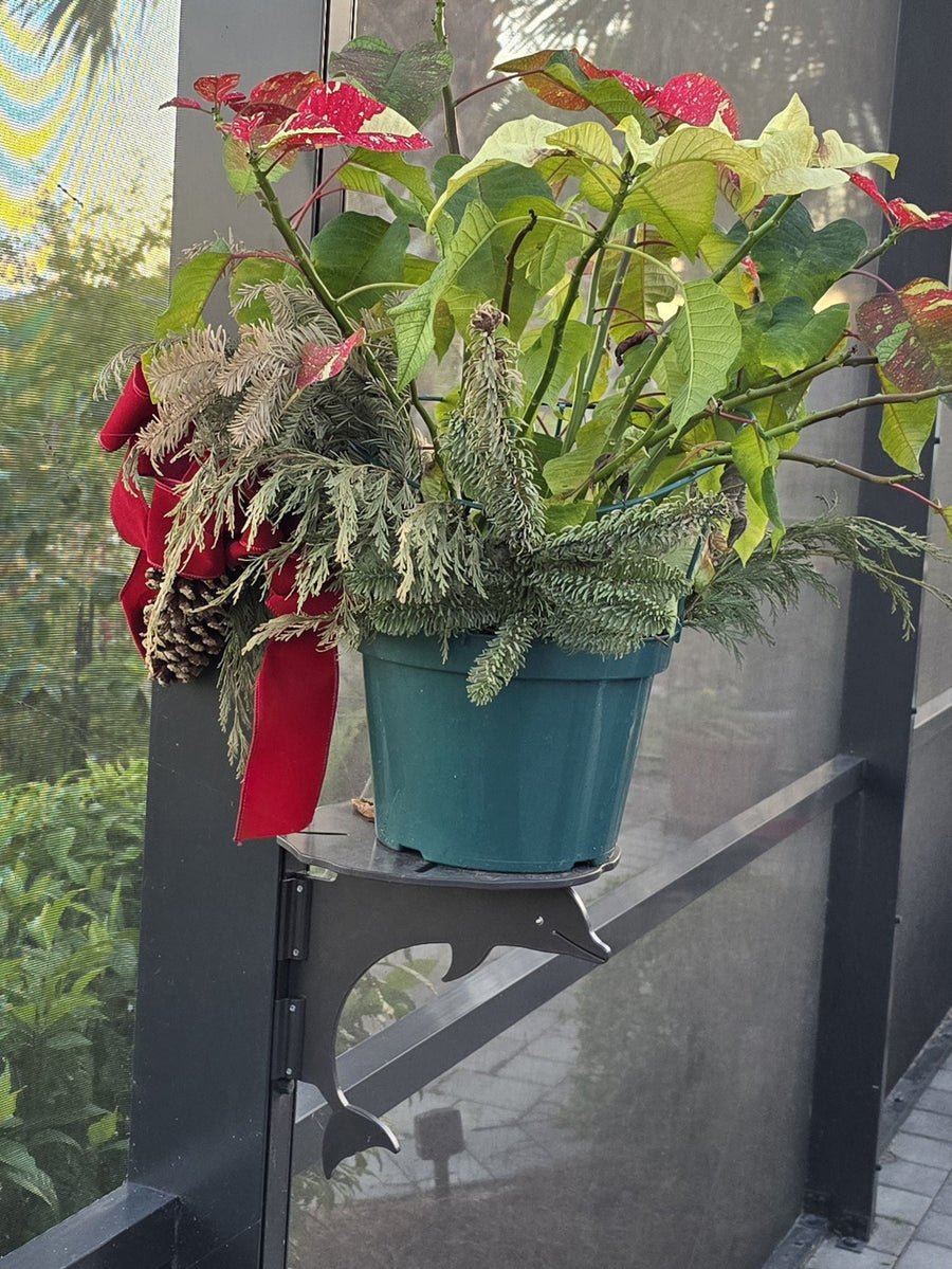 Dolphin mini table holding a poinsettia planter.
